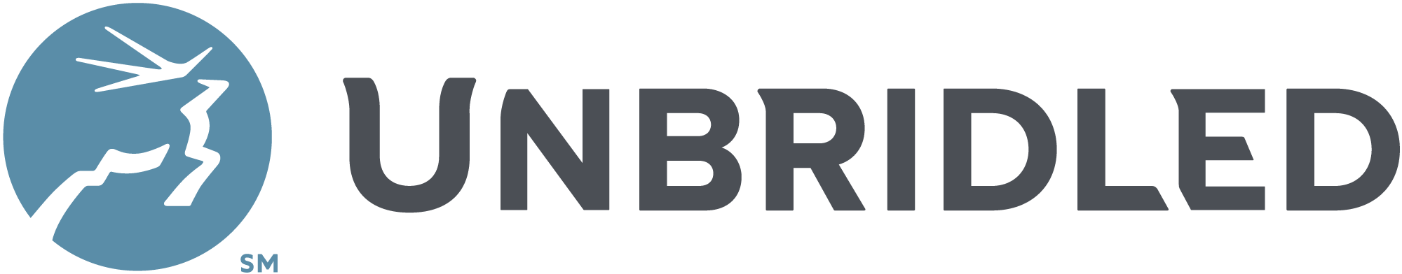 Unbridled WebDev